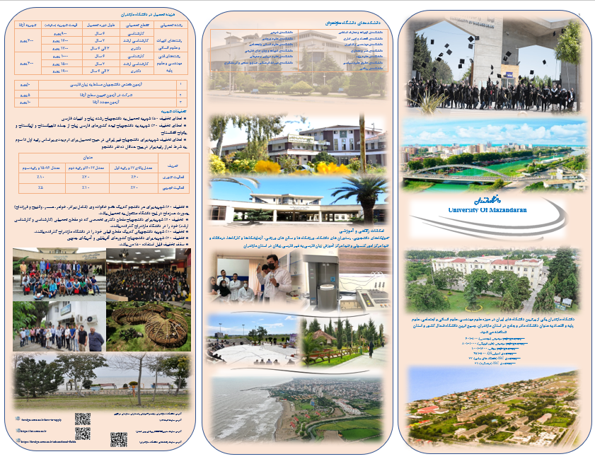Responsive Image
